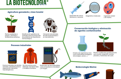 El potencial de la biotecnología en el Chaco