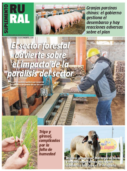 El sector forestal advierte sobre el impacto de la parálisis del sector