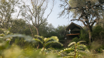El Impenetrable habilitó un camping con "glamour"