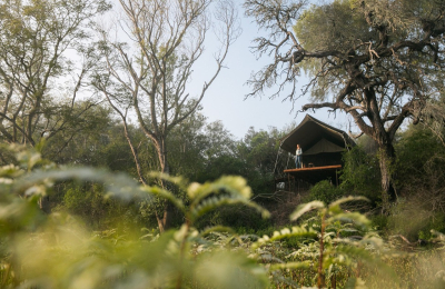 El Impenetrable habilitó un camping con "glamour"