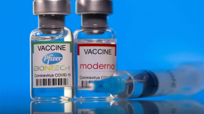 Proponen producir en el país las vacuna de Moderna y Pfizer