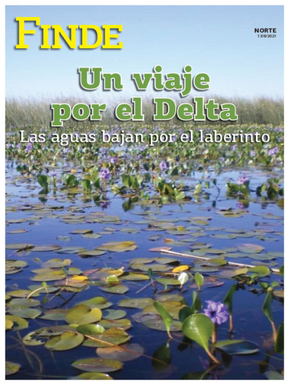 Un viaje por el Delta