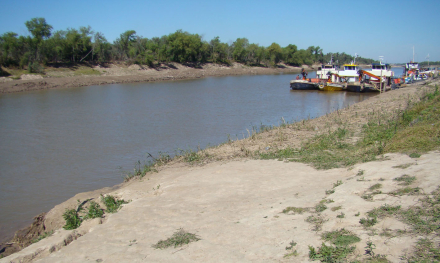 parana3.jpg