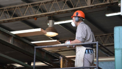 Corrientes: La forestoindustria a la vanguardia del desarrollo productivo