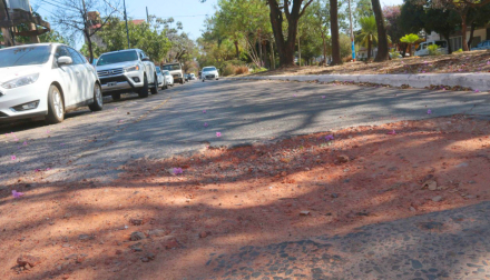 baches4.jpg