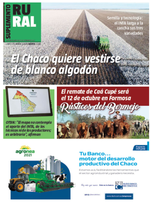El Chaco quiere vestirse de blanco algodón