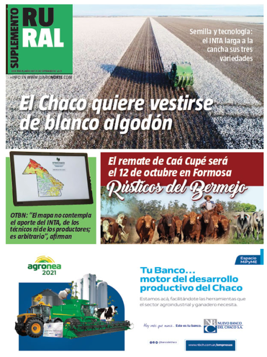 El Chaco quiere vestirse de blanco algodón