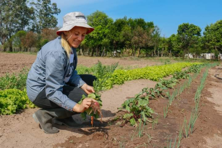 agricultura4.jpg
