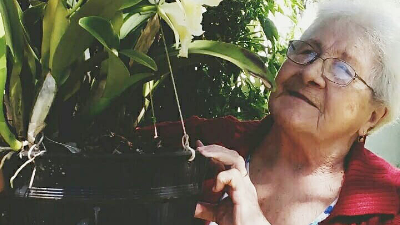 Presentan el libro “Maura! Amor infinito” sobre la exvicecónsul Rosati