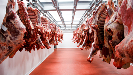 Suspenden-a-exportadores-de-carne.jpg