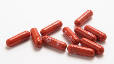 molnupiravir.jpg
