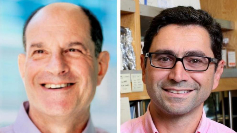 Julius y Patapoutian, de los Estados Unidos, ganan el Premio Nobel de Medicina