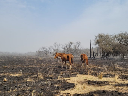 cba incendios2.jpg