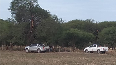 Destacan las ventajas del manejo forestal sustentable