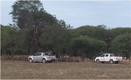 manejo forestal.jpg