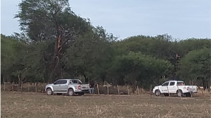 Destacan las ventajas del manejo forestal sustentable