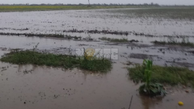 Temporal de viento y lluvia en el sudoeste chaqueño