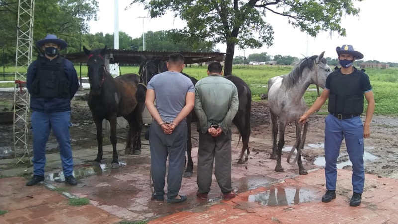 Cortaron el alambrado y robaron tres equinos: hay dos detenidos