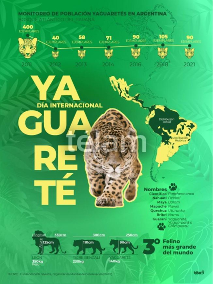 yaguarete05.jpg