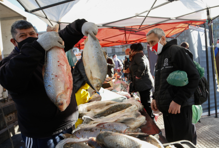 pescadazo2.jpg