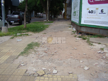 vere5.jpg
