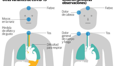 Confirman la presencia de Ómicron en 9 países de América Latina y el Caribe