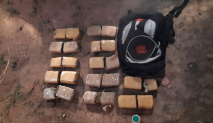 narco2.jpg