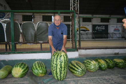 sandia3.jpg