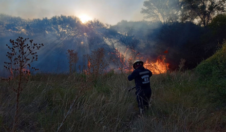 incendio2.jpg