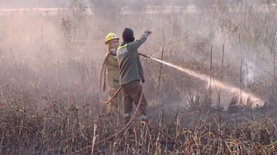 Testimonios de bomberos voluntarios, que continúan dando pelea al fuego