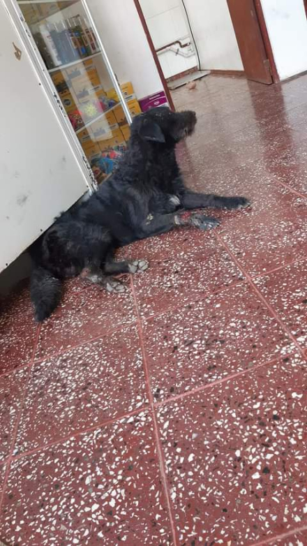 WhatsApp Image 2022-01-21 at 10.38.40 (1).jpeg