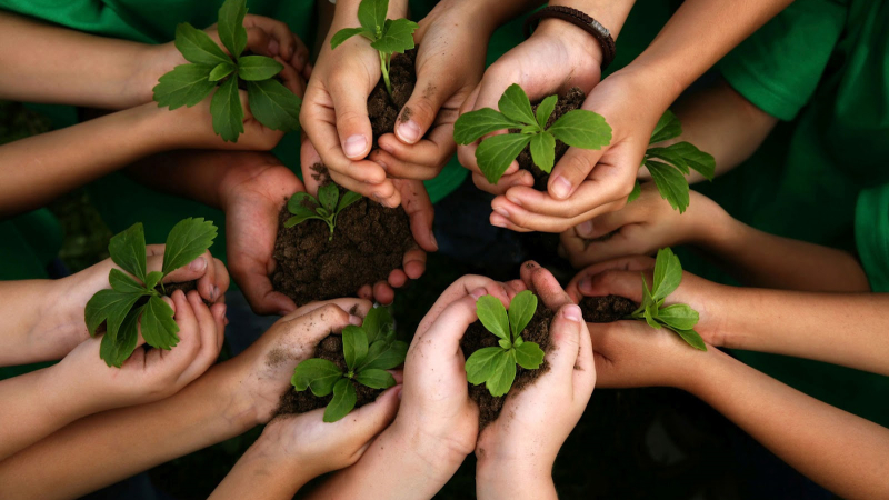 Día Mundial de la Educación Ambiental