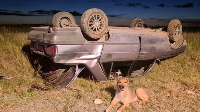 Volcó con su auto y su perro se quedó a su lado hasta que lo rescataron