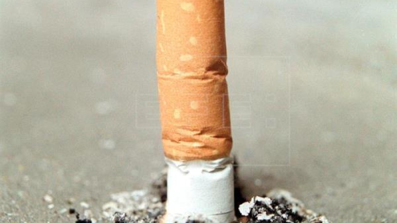 OMS: las colillas de los cigarrillos, el producto que genera más basura tóxica en el mundo