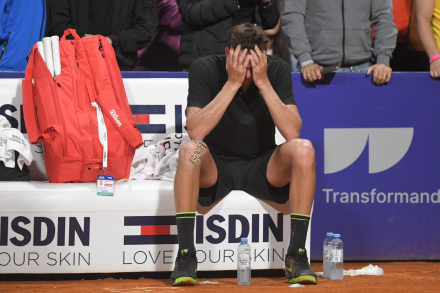 Delpo 3.jpg
