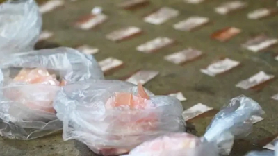 Cocaína envenenada: las pericias determinaron que se usó carfentanilo para adulterar la droga