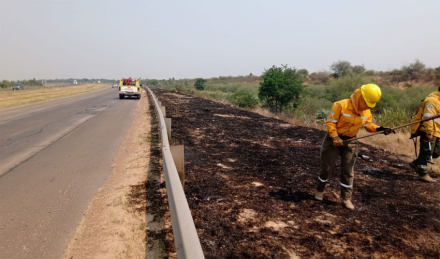 incendios.jpg
