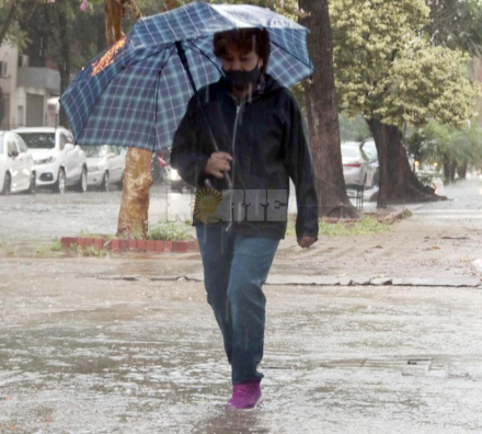 lluvias3.jpg copy