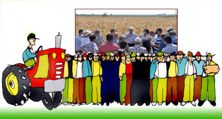 Dibujo-columna-rural.jpg