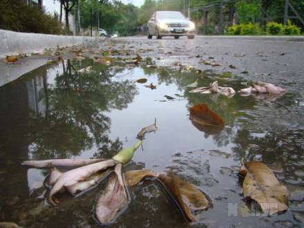 lluvia01.jpg