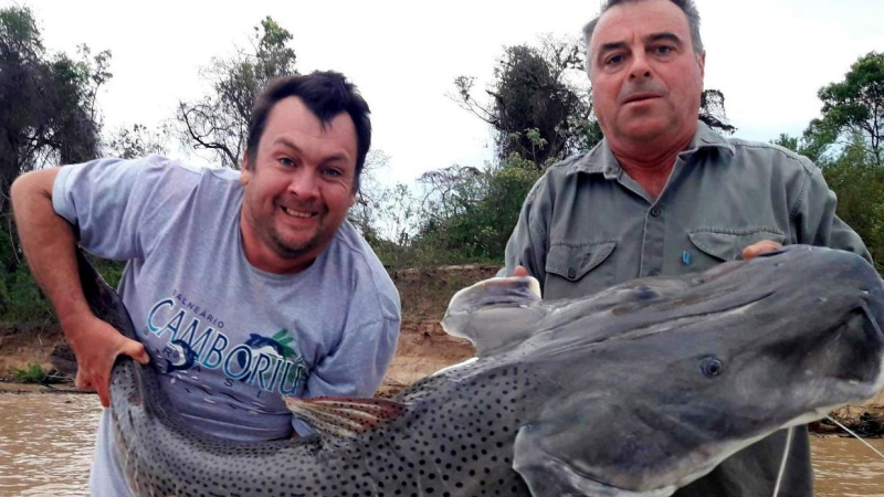 Isla del Cerrito: pescan un Surubí de 47 kilos
