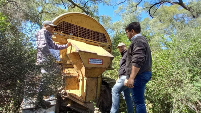 Fiscalización Forestal: 13 topadoras incautadas en el primer trimestre