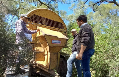 Fiscalización Forestal: 13 topadoras incautadas en el primer trimestre