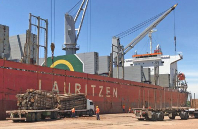 China muestra otra vez su interés por la madera argentina