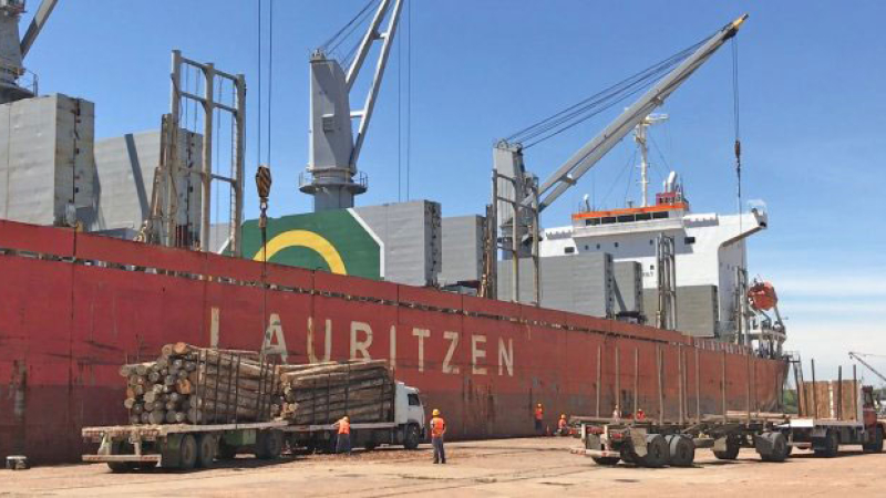 China muestra otra vez su interés por la madera argentina