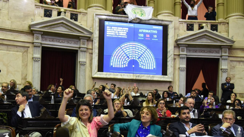 Diputados aprobó proyectos de Incentivo a la Construcción, Respuesta Integral al VIH y Cannabis medicinal