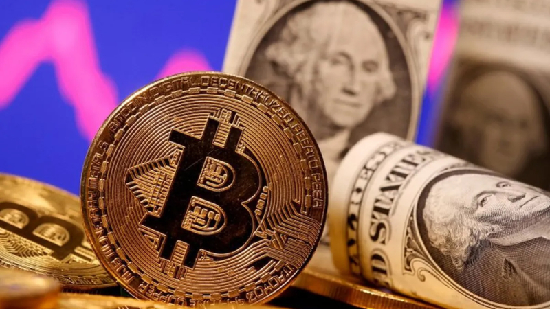 Bitcoin perdió más del 50% de su valor desde su máximo histórico