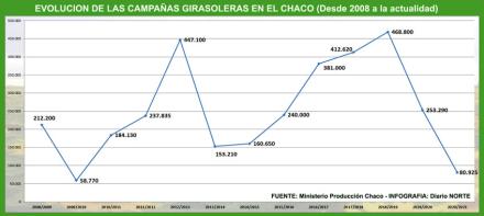 Campañas-de-girasol.jpg