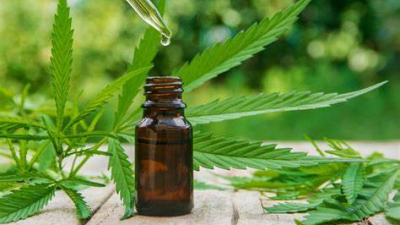 Corrientes: profesionales de la UNNE darán clases sobre cultivo hogareño de cannabis