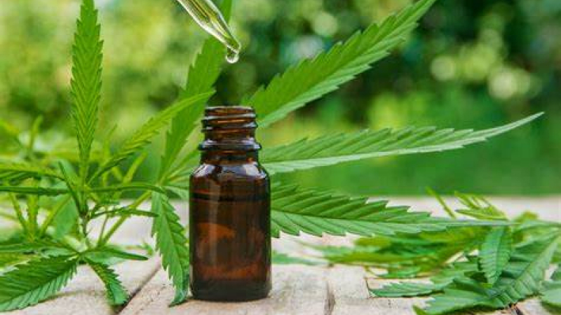 Corrientes: profesionales de la UNNE darán clases sobre cultivo hogareño de cannabis